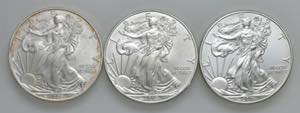 USA - Dollaro American Silver Eagle 2009, ... 
