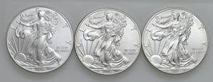 USA - Dollaro American Silver Eagle 2010, ... 