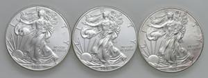 USA - Dollaro American Silver Eagle 2010, ... 