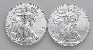 USA - Dollaro American Silver Eagle 2013, ... 