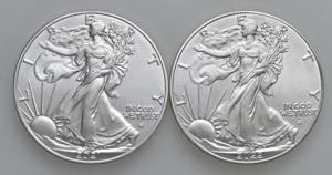 USA - Dollaro American Silver Eagle 2021, ... 