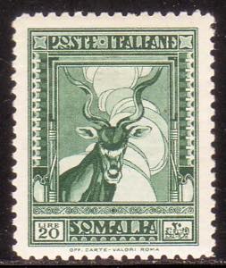 Antilope, 20 lire dent. 12 n. 183. (500)