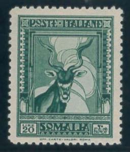 Antilope, 20 lire dent. 12 n. 183. (500)