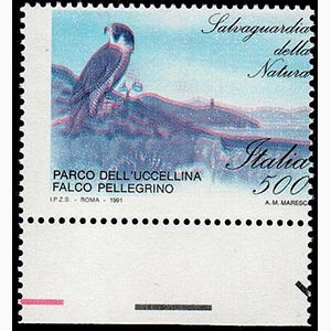 POSTA ORDINARIA - Falco Pellegrino 450 l. ... 