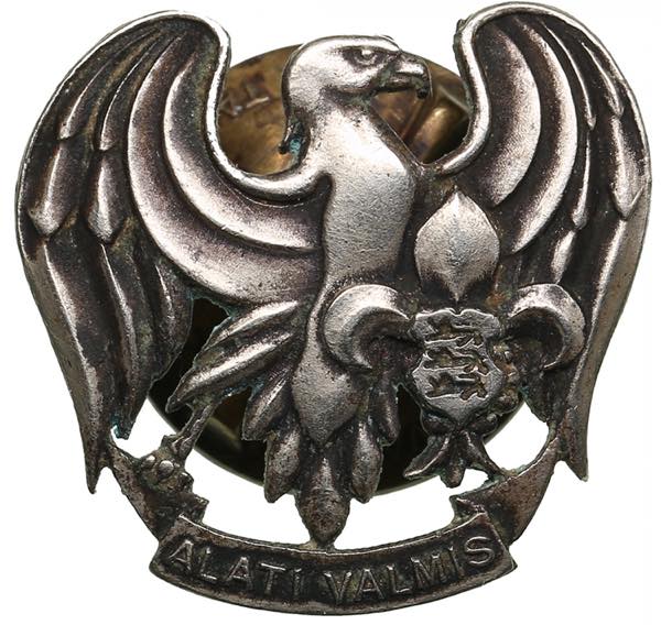 Estonia Badge - Young Eagles ... 