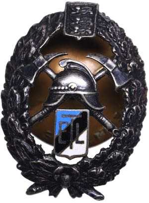 Estonia badge Estonian ... 