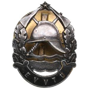Estonia badge - Estonia ... 