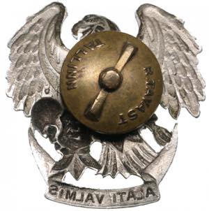 Estonia Badge - Young Eagles before 1940 ... 