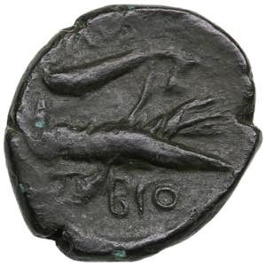 Skythia (Olbia) Æ Dikhalk c. 400-350 BC ... 