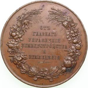Russia medal From the ministry of ... 