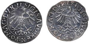 Poland-Lithuania 1/2 grosz 1556, 1558 ... 