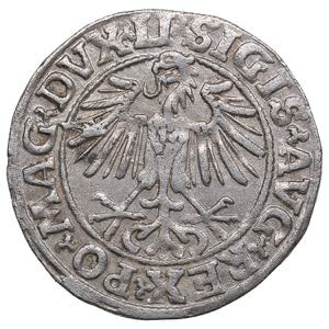 Poland-Lithuania 1/2 grosz 1549 - Sigismund ... 