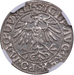 Poland-Lithuania 1/2 grosz 1549 - Sigismund ... 
