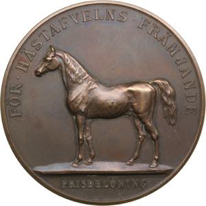 Sweden medal for developmet of horse ... 