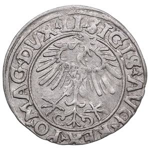 Poland-Lithuania 1/2 grosz 1556 - Sigismund ... 