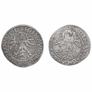 Poland-Lithuania 1/2 grosz 1564 - Sigismund ... 