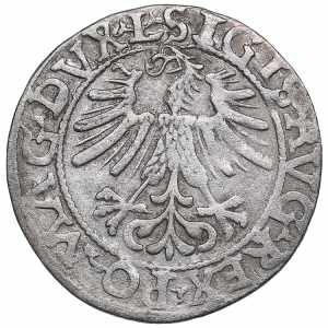 Poland-Lithuania 1/2 grosz 1562 - Sigismund ... 
