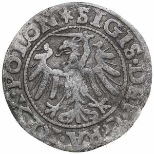 Poland, Danzig Schilling 1546 - Sigismund I ... 