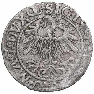 Poland-Lithuania 1/2 grosz 1559 - Sigismund ... 