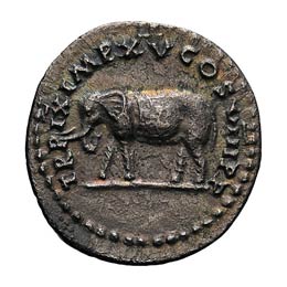  79-81 AD. Denarius, 3.43g (4h). ... 
