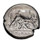 Didrachm, 6.83g (6h).  269-266 BC. Obv: Head ... 