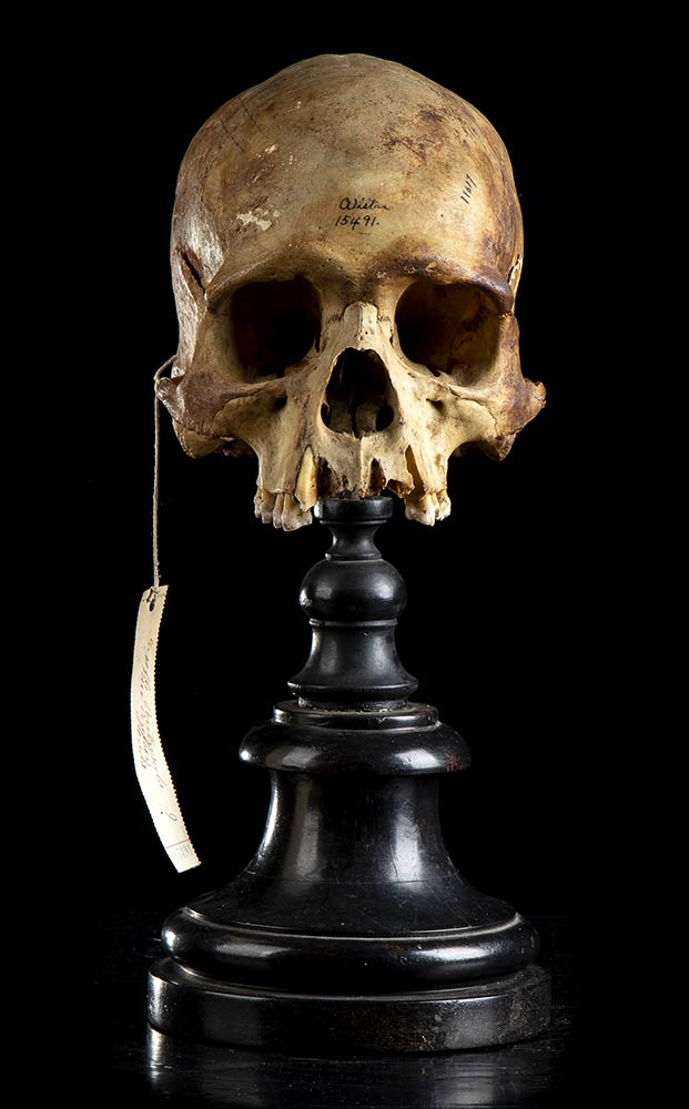 ATLAS SKULL CANDLE – THE BLACK ATLAS