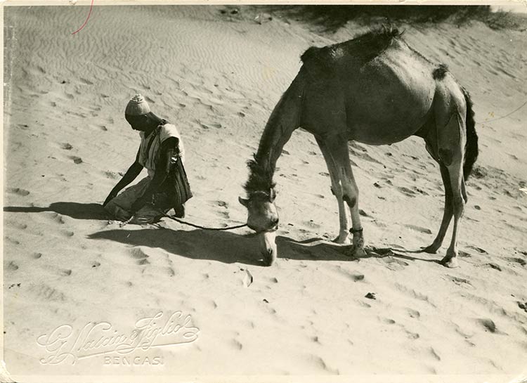 Nomade nel deserto, Libia 1940 ... 
