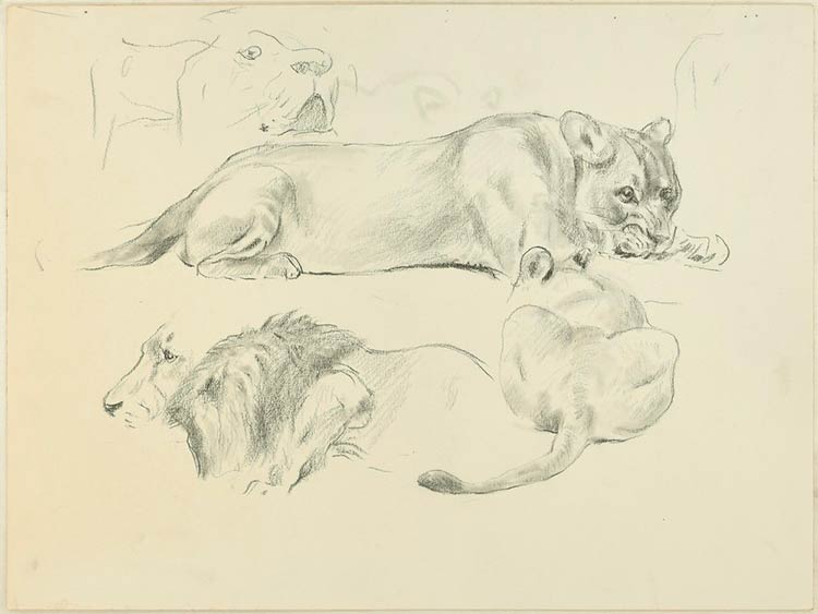 Wilhelm Lorenz  Lions, XX Century ... 
