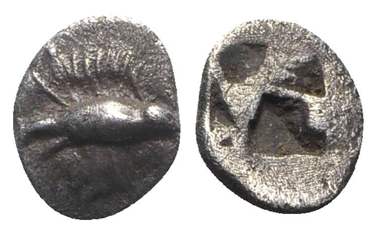 Mysia, Kyzikos, c. 500 BC. AR Obol ... 