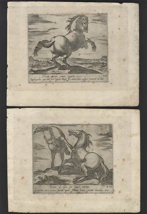 pair of etchings by Antonio ... 