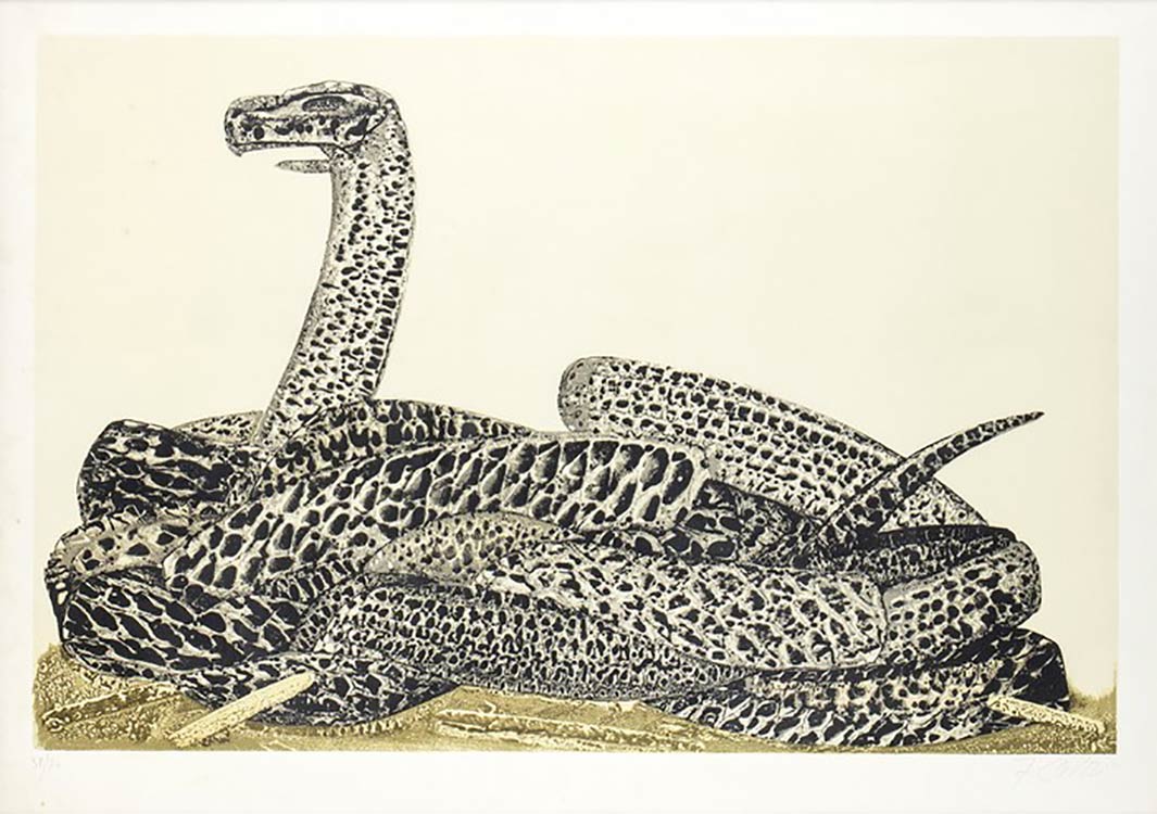 FABRIZIO CLERICI
Python (from the ... 
