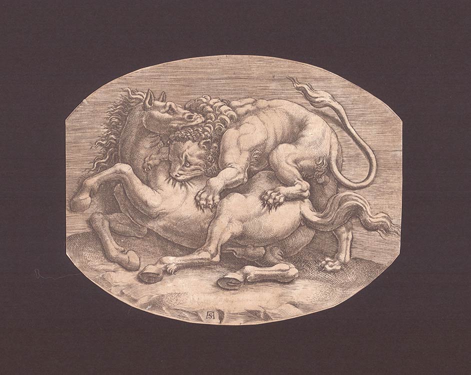 Aaftermo Scultori (1530-1585) Lion ... 