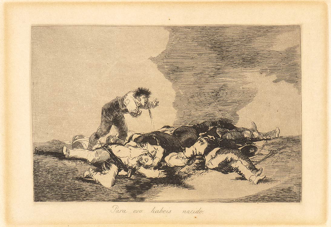 Francisco de Goya ... 