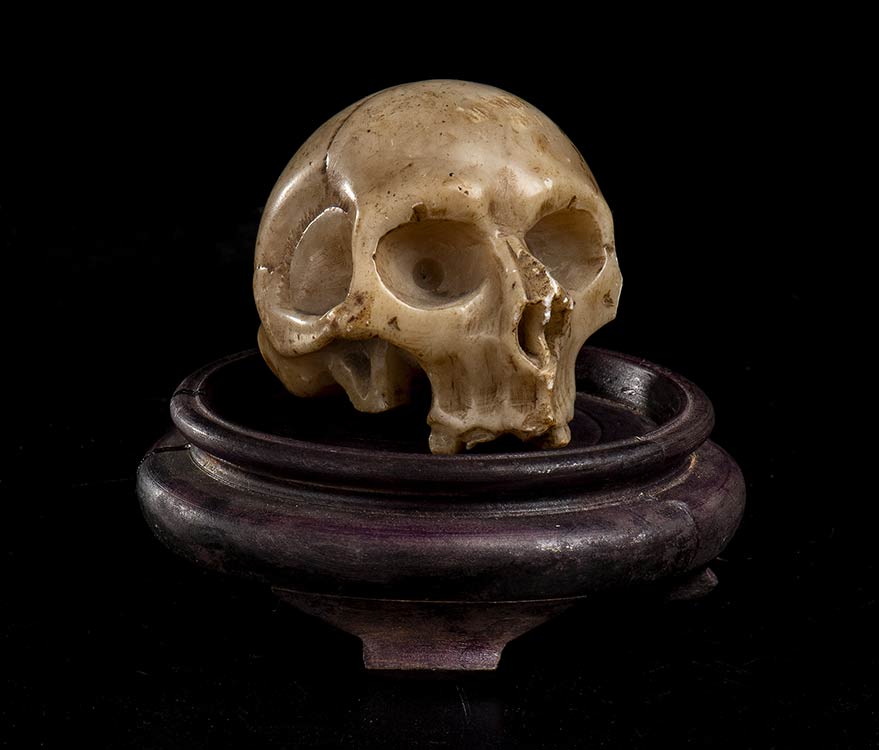 ANATOMIC SKULL  Skull on a wooden ... 