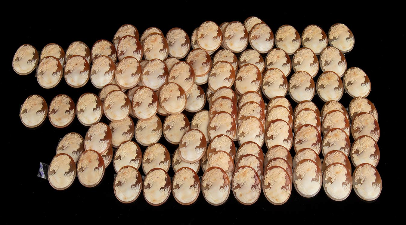 105 sea shell cameos sardonica ... 