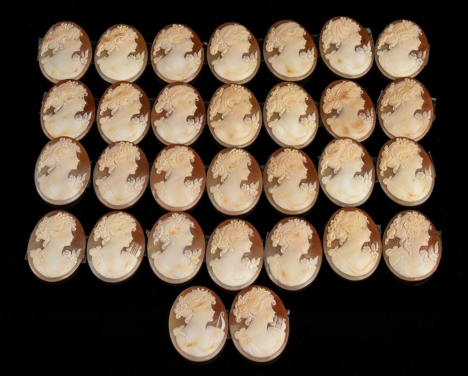 30 sea shell cameos sardonica ... 