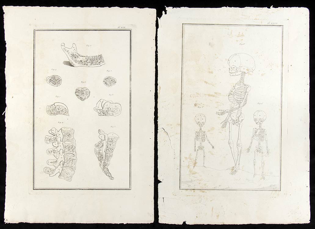 Lot of 2 sheets from an Atlas of ... 