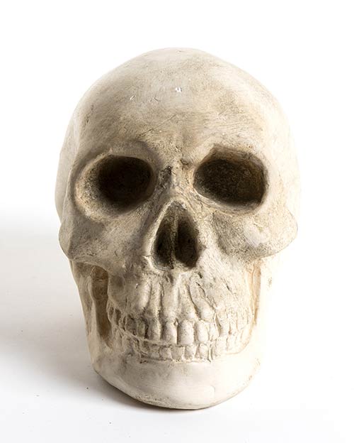 Continental ceramic skull - 20th ... 