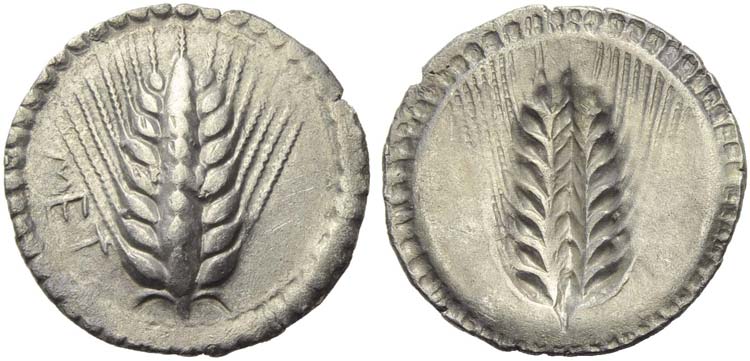 Lucania, Metapontion, Stater, c. ... 