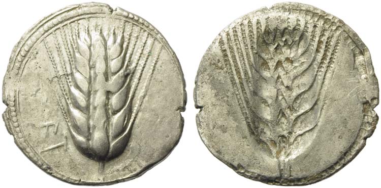 Lucania, Metapontion, Stater, ca. ... 