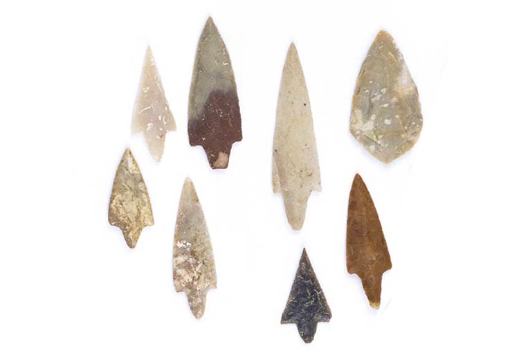 Collection of Neolithic arrowheads ... 