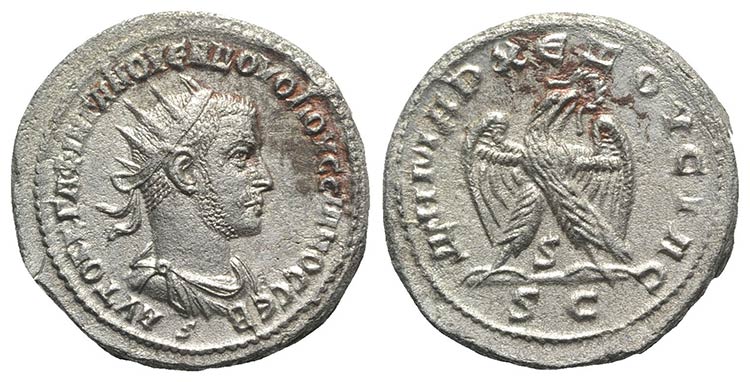 Volusian (251-253). Seleucis and ... 