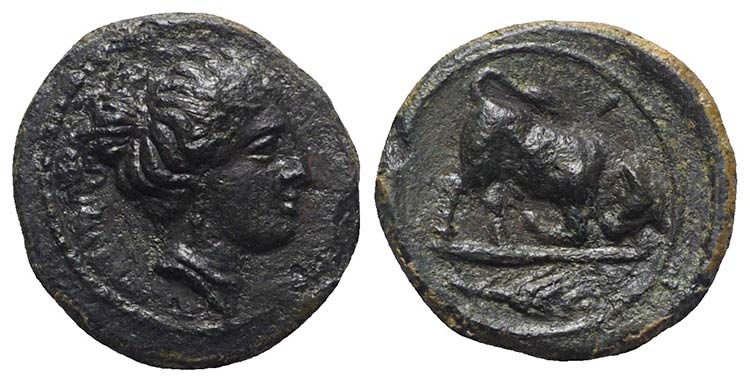 Sicily, Kamarina, c. 339/8-300 BC. ... 