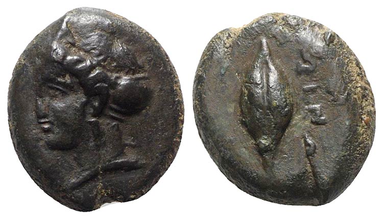 Sicily, Adranon, c. 340-330 BC. Æ ... 