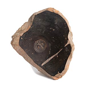 Roman black-glazed fragment with erotic ... 