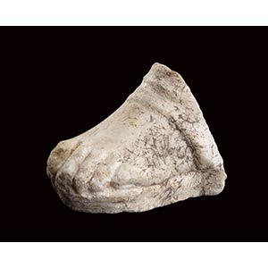 Roman pario marble votive foot of an infant, ... 
