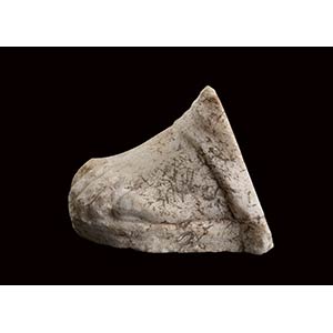Roman pario marble votive foot of ... 