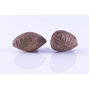Couple of Greco-Roman Inscribed Lead Sling ... 
