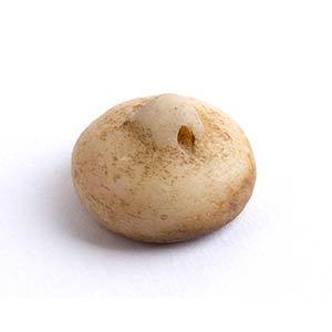 Bactrian Stone Button Seal; ... 