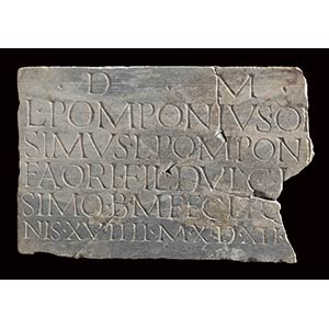Roman Marble Funerary Inscription Slab of ... 